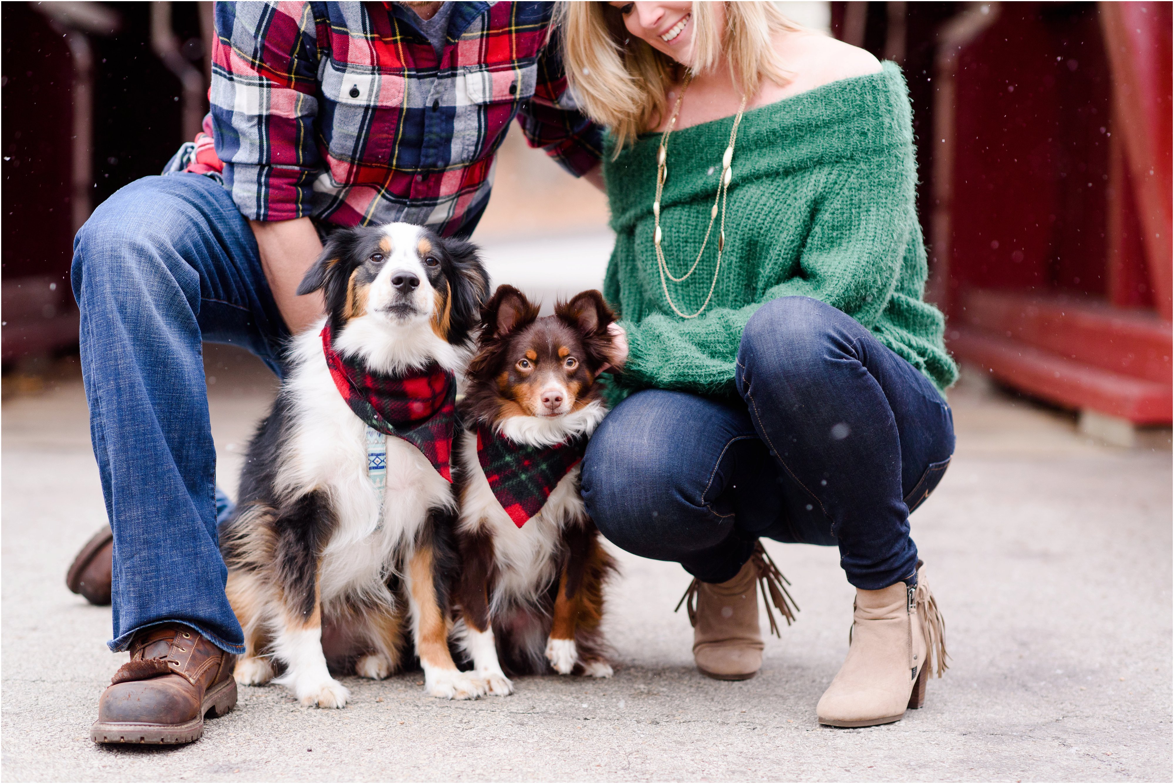 pittsburgh engagement photos with dogs