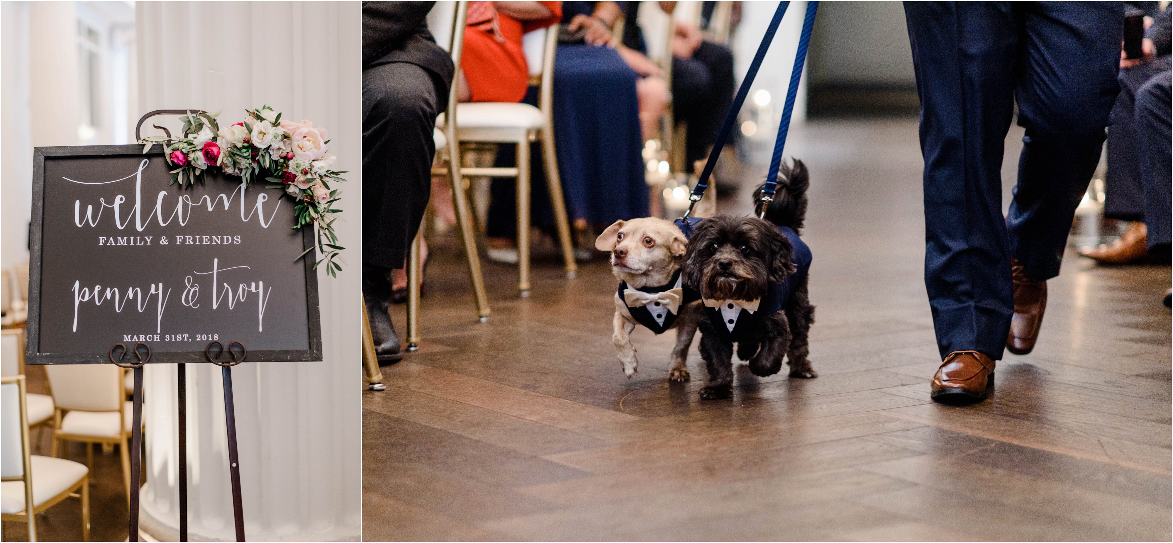 dogs in wedding ceremony