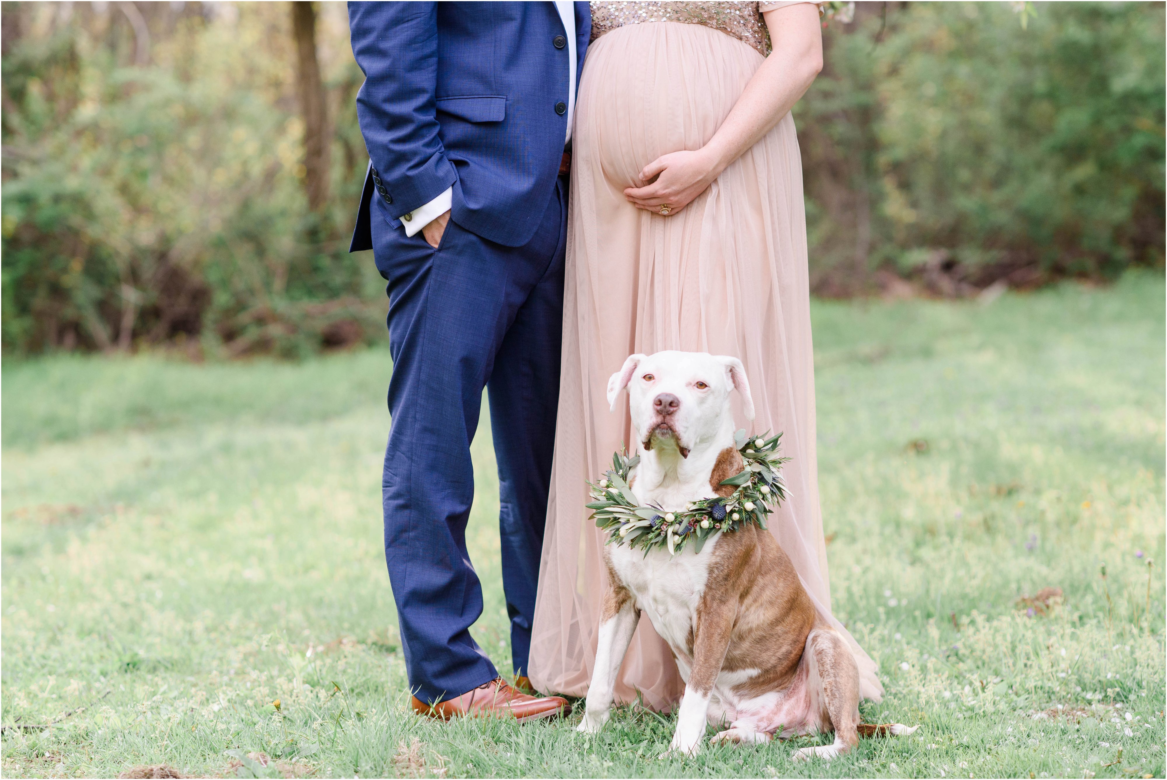 pittsburgh maternity photos with dog